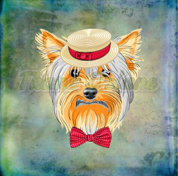 PANEL WELUR TAPICERSKI YORKSHIRE TERRIER TŁO PASTEL MULTICOLOR