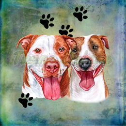 PANEL WELUR TAPICERSKI DWA PITBULLE TŁO PASTEL MULTICOLOR