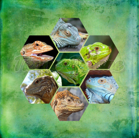 PANEL WELUR TAPICERSKI GADY KALEJDOSKOP TŁO GREEN PANEL WELUR TAPICERSKI GADY KALEJDOSKOP TŁO GREEN