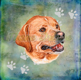 PANEL WELUR TAPICERSKI LABRADOR 1 TŁO PASTEL MULTICOLOR