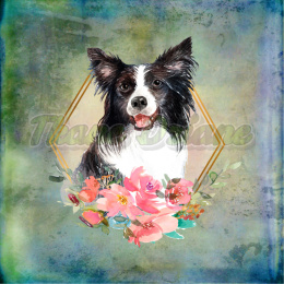 PANEL WELUR TAPICERSKI BORDER COLLIE W KWIATACH TŁO PASTEL MULTICOLOR