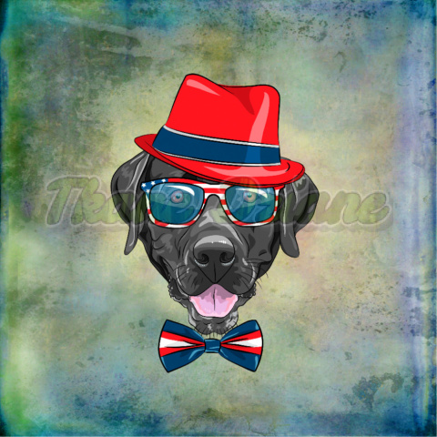 PANEL POLIESTER WODOODPORNY LABRADOR TŁO MULTICOLOR PANEL POLIESTER WODOODPORNY LABRADOR TŁO MULTICOLOR