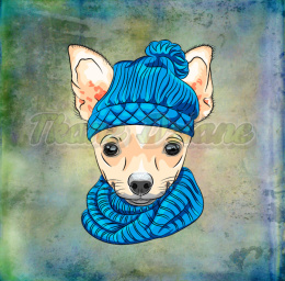 PANEL POLIESTER WODOODPORNY CHIHUAHUA TŁO MULTICOLOR