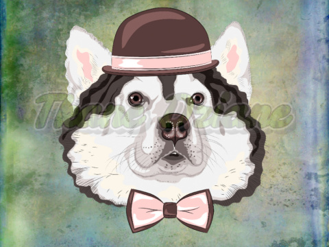 PANEL POLIESTER WODOODPORNY ALASKAN MALAMUTE TŁO MULTICOLOR PANEL POLIESTER WODOODPORNY ALASKAN MALAMUTE TŁO MULTICOLOR