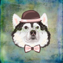 PANEL POLIESTER WODOODPORNY ALASKAN MALAMUTE TŁO MULTICOLOR PANEL POLIESTER WODOODPORNY ALASKAN MALAMUTE TŁO MULTICOLOR
