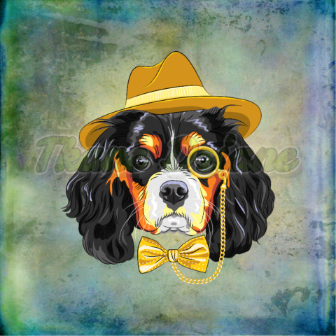 PANEL POLIESTER WODOODPORNY KING CHARLES SPANIEL TŁO MULTICOLOR PANEL POLIESTER WODOODPORNY KING CHARLES SPANIEL TŁO MULTICOLOR