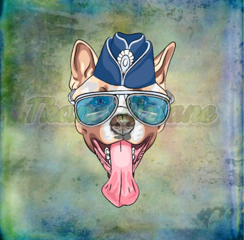 PANEL POLIESTER WODOODPORNY AMSTAFF TŁO MULTICOLOR PANEL POLIESTER WODOODPORNY AMSTAFF TŁO MULTICOLOR