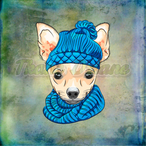PANEL WELUR TAPICERSKI CHIHUAHUA TŁO MULTIKOLOR PANEL WELUR TAPICERSKI CHIHUAHUA TŁO MULTIKOLOR