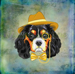 PANEL WELUR TAPICERSKI KING CHARLES SPANIEL TŁO MULTIKOLOR