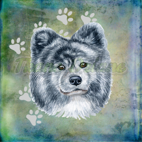 PANEL WELUR TAPICERSKI SREBRNA AKITA INU TŁO MULTIKOLOR PANEL WELUR TAPICERSKI SREBRNA AKITA INU TŁO MULTIKOLOR