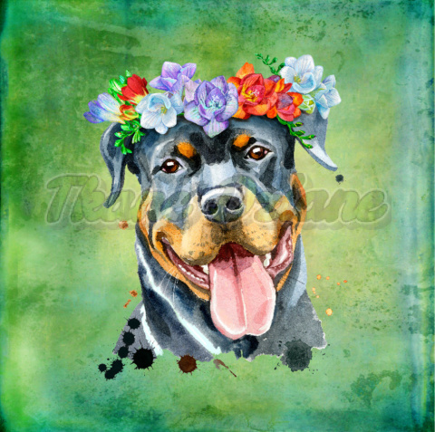 PANEL WELUR TAPICERSKI ROTTWEILER Z WIANKIEM TŁO GREEN PANEL WELUR TAPICERSKI ROTTWEILER Z WIANKIEM TŁO GREEN