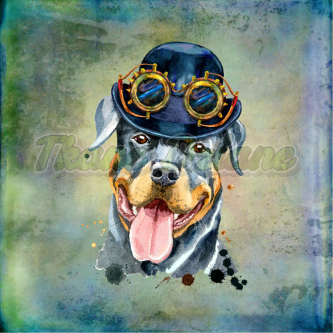 PANEL WELUR TAPICERSKI ROTTWEILER STEAMPUNK TŁO MULTICOLOR PANEL WELUR TAPICERSKI ROTTWEILER STEAMPUNK TŁO MULTICOLOR