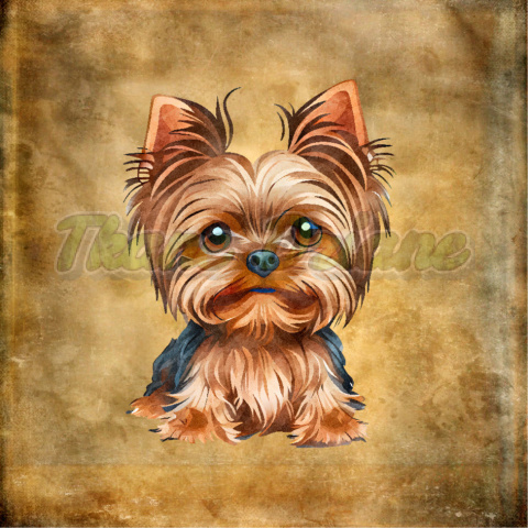 PANEL POLIESTER WODOODPORNY YORK PORTRET TŁO BEŻ 2 PANEL POLIESTER WODOODPORNY YORK PORTRET TŁO BEŻ 2