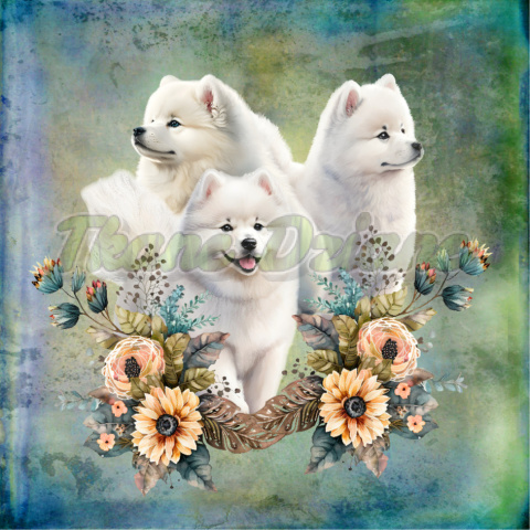 PANEL POLIESTER WODOODPORNY TRZY SAMOYEDY W KWIATACH BEŻ TŁO PASTEL MULTIKOLOR PANEL POLIESTER WODOODPORNY TRZY SAMOYEDY W KWIATACH BEŻ TŁO PASTEL MULTIKOLOR