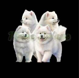 PANEL WELUR TAPICERSKI CZTERY SAMOYEDY