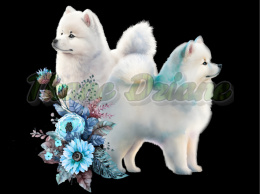 PANEL WELUR TAPICERSKI DWA SAMOYEDY W KWIATACH BLUE NA CZARNYM