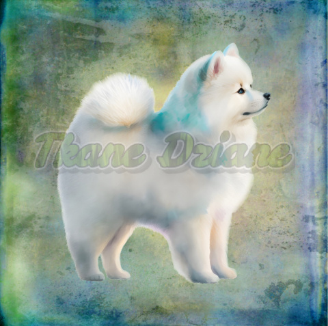 PANEL WELUR TAPICERSKI SAMOYED TŁO PASTEL MULTIKOLOR PANEL WELUR TAPICERSKI SAMOYED TŁO PASTEL MULTIKOLOR