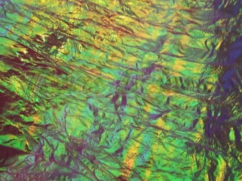 HOLOGRAM VIOLET 0,8 m HOLOGRAM VIOLET 0,8 m