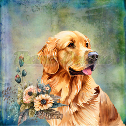 PANEL POLIESTER WODOODPORNY GOLDEN RETRIEVER TŁO PASTEL MULTIKOLOR