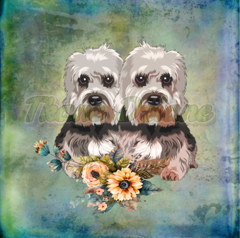 PANEL POLIESTER WODOODPORNY PIES DWA DANDIE DINMONT TERRIER TŁO PASTEL MULTIKOLOR PANEL POLIESTER WODOODPORNY PIES DWA DANDIE DINMONT TERRIER TŁO PASTEL MULTIKOLOR