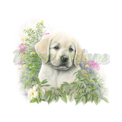 PANEL WELUR TAPICERSKI GOLDEN RETRIEVER SZCZENIAK NR 4 PANEL WELUR TAPICERSKI GOLDEN RETRIEVER SZCZENIAK NR 4