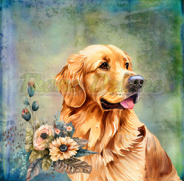 PANEL WELUR TAPICERSKI GOLDEN RETRIEVER TŁO PASTEL MULTIKOLOR