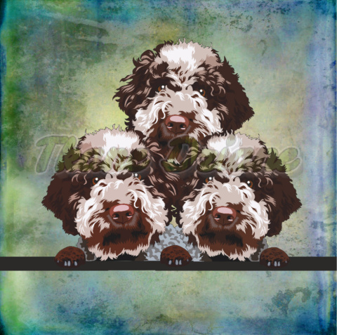 PANEL DRUKOWANY LAGOTTO ROMAGNOLO 3 PSY TŁO PASTEL MULTIKOLOR PANEL DRUKOWANY LAGOTTO ROMAGNOLO 3 PSY TŁO PASTEL MULTIKOLOR