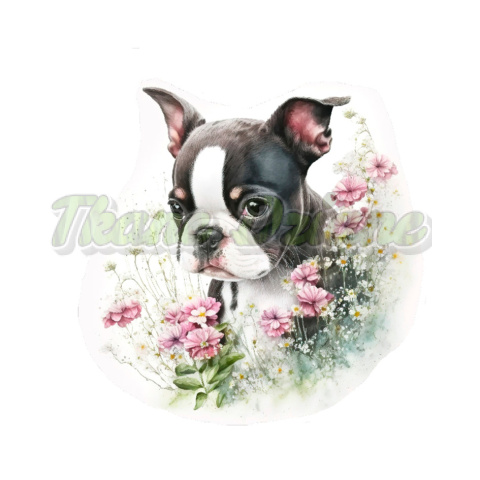 PANEL DRUKOWANY BOSTON TERRIER PUPPY NR 1 PANEL DRUKOWANY BOSTON TERRIER PUPPY NR 1