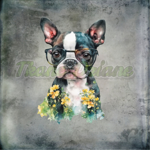 PANEL DRUKOWANY BOSTON TERRIER Z ŻÓŁTYMI KWIATAMI TŁO PASTEL SZARY PANEL DRUKOWANY BOSTON TERRIER Z ŻÓŁTYMI KWIATAMI TŁO PASTEL SZARY