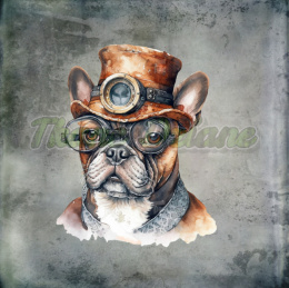 PANEL DRUKOWANY BULDOŻEK FRANCUSKI W MELONIKU STEAMPUNK TŁO PASTEL SZARY