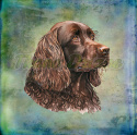 PANEL DRUKOWANY COCKER SPANIEL CZEKOLADOWY PORTRET TŁO PASTEL MULTIKOLOR NR 6