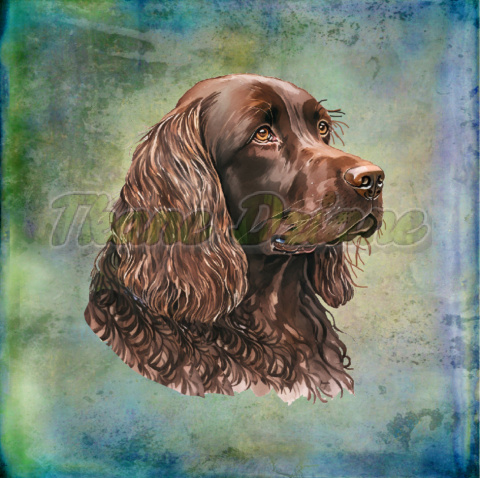 PANEL DRUKOWANY COCKER SPANIEL CZEKOLADOWY PORTRET TŁO PASTEL MULTIKOLOR NR 6 PANEL DRUKOWANY COCKER SPANIEL CZEKOLADOWY PORTRET TŁO PASTEL MULTIKOLOR NR 6