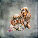 PANEL DRUKOWANY COCKER SPANIEL SZCZENIAKI TŁO PASTEL SZARY NR 10