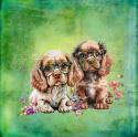 PANEL DRUKOWANY COCKER SPANIEL SZCZENIAK TŁO GREEN NR 11