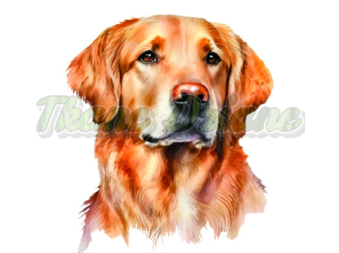 PANEL DRUKOWANY GOLDEN RETRIEVER PORTRET NA BIAŁYM NR 4