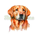 PANEL DRUKOWANY GOLDEN RETRIEVER PORTRET NA BIAŁYM NR 4