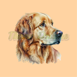 PANEL DRUKOWANY GOLDEN RETRIEVER PORTRET W PRAWO NR 8