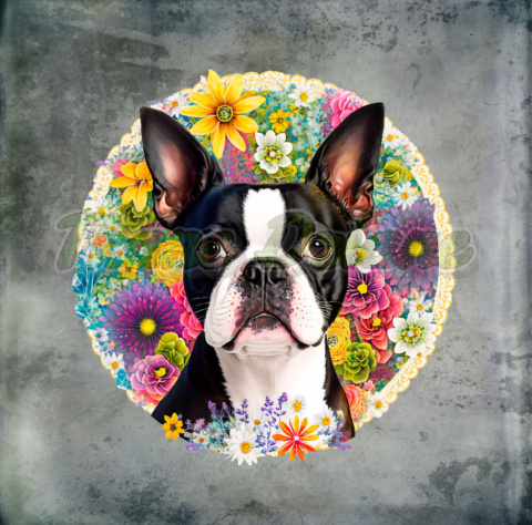 PANEL DRUKOWANY BOSTON TERRIER KWIATY RÓŻOWE TŁO PASTEL SZARY PANEL DRUKOWANY BOSTON TERRIER KWIATY RÓŻOWE TŁO PASTEL SZARY