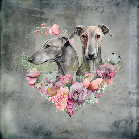 PANEL DRUKOWANY DWA WHIPPET CHART GREYHOUND W KWIATACH TŁO PASTEL SZARY NR 11 PANEL DRUKOWANY DWA WHIPPET CHART GREYHOUND W KWIATACH TŁO PASTEL SZARY NR 11