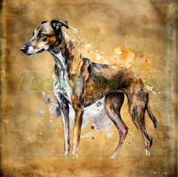 PANEL DRUKOWANY WHIPPET CHART GREYHOUND SYLWETKA TŁO BEŻ 2 NR 13