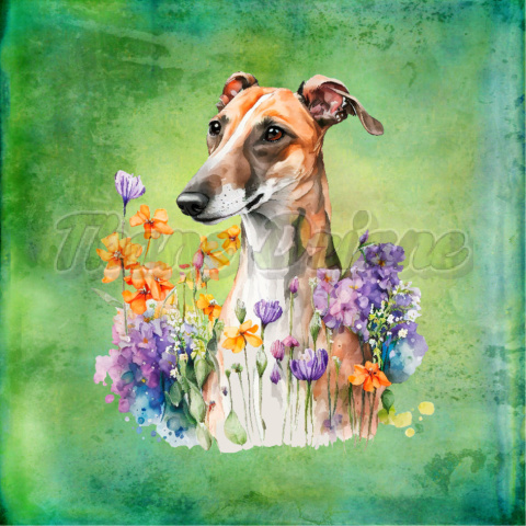 PANEL DRUKOWANY WHIPPET CHART GREYHOUND TŁO GREEN NR 3 PANEL DRUKOWANY WHIPPET CHART GREYHOUND TŁO GREEN NR 3