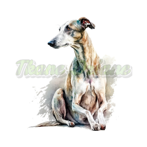 PANEL DRUKOWANY WHIPPET CHART GREYHOUND TŁO BIAŁE NR 8 PANEL DRUKOWANY WHIPPET CHART GREYHOUND TŁO BIAŁE NR 8