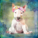 PANEL DRUKOWANY BULLTERRIER BIAŁY Z MANDALAMI TŁO PASTEL MULTICOLOR NR 4