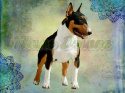 PANEL DRUKOWANY BULLTERRIER TRICOLOR TŁO PASTEL MULTICOLOR NR 14