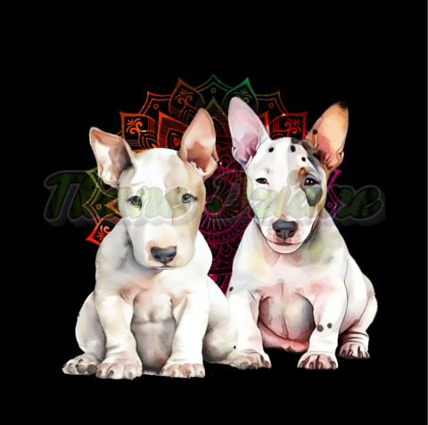 PANEL DRUKOWANY DWA BULLTERRIERY NR 13