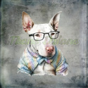 PANEL DRUKOWANY BULLTERRIER W KOSZULI TŁO PASTEL SZARY NR 10