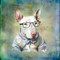 PANEL DRUKOWANY BULLTERRIER PORTRET TŁO PASTEL MULTICOLOR NR 7