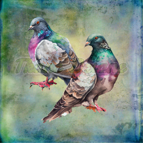 PANEL DRUKOWANY GOŁĄB DWA GOŁĘBIE TŁO PASTEL MULTICOLOR NR 2 PANEL DRUKOWANY GOŁĄB DWA GOŁĘBIE TŁO PASTEL MULTICOLOR NR 2