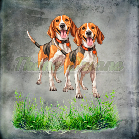 PANEL DRUKOWANY AMERICAN FOXHOUND TŁO PSZ PANEL DRUKOWANY AMERICAN FOXHOUND TŁO PSZ
