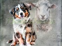 PANEL DRUKOWANY AUSTRALIAN SHEPHERD TŁO PSZ